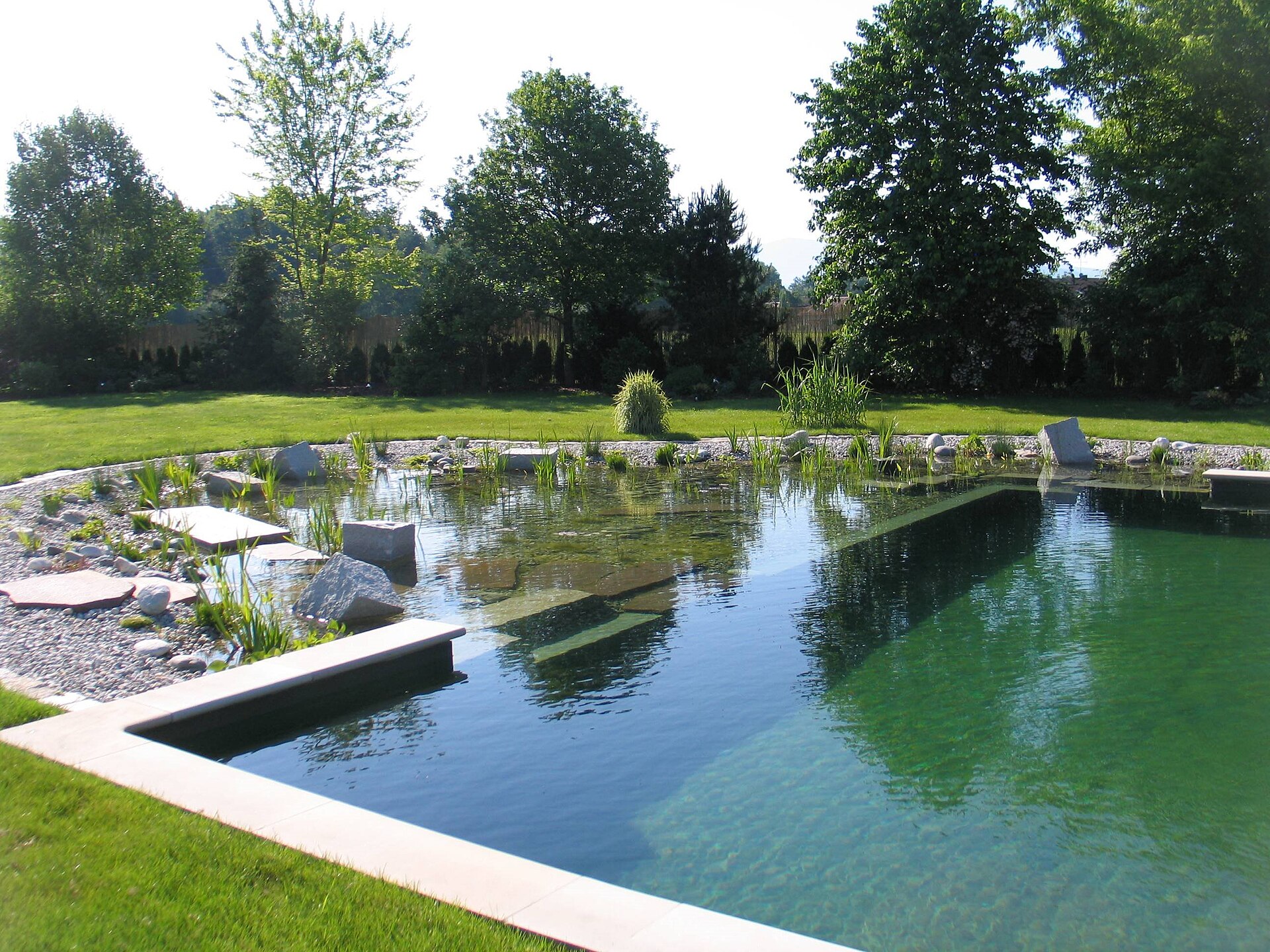 Naturpool mit bepflanzter Regenerationszone